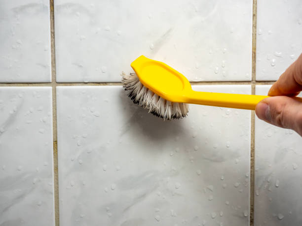 Mold Removal Process in Orland, CA