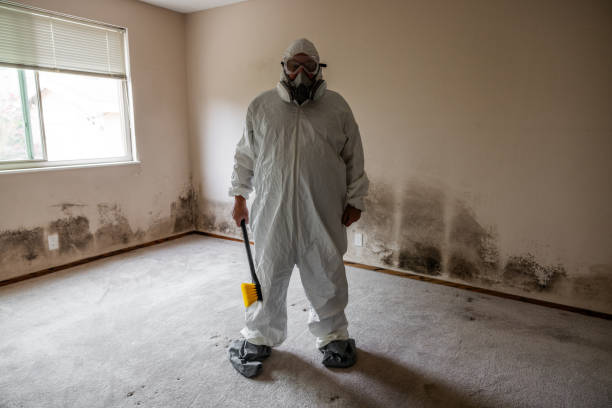 Best Mold Testing  in Orland, CA